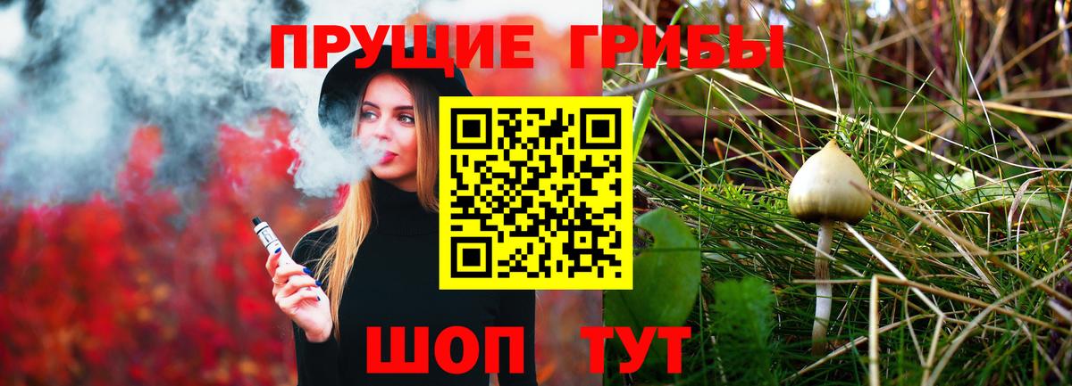 Галлюциногенные грибы GOLDEN TEACHER  Галлюциногенные грибы ЛСД  Нурлат  Вход с VPN 